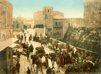 Rue devant la Tour de David, Jérusalem, c.1880-1900 (photochromie)